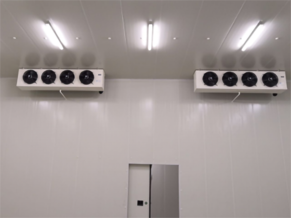 食品公司內(nèi)建造一個(gè)1000平包子、水餃速凍冷庫費(fèi)用是多少？