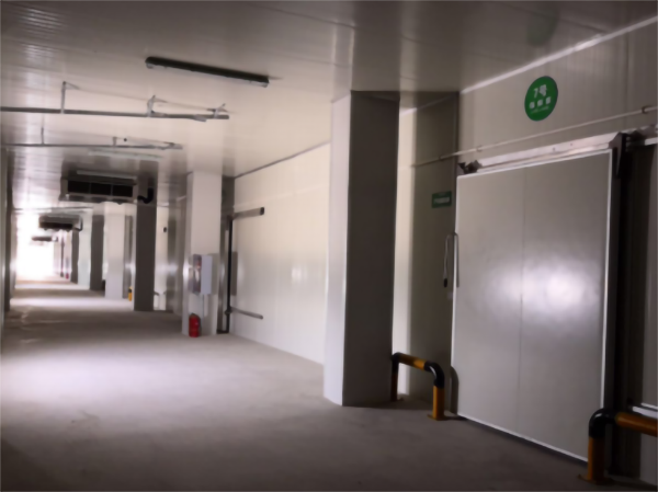 食品公司內(nèi)建造一個1000平包子、水餃速凍冷庫費用是多少？