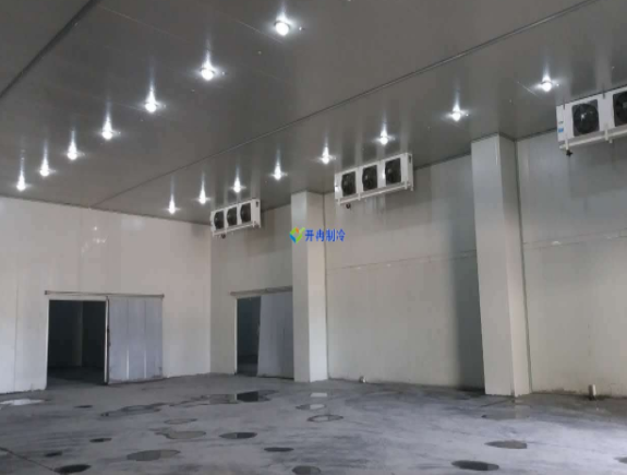 產(chǎn)業(yè)規(guī)劃園區(qū)內(nèi)建造16000平米的物流冷庫整體方案報價？