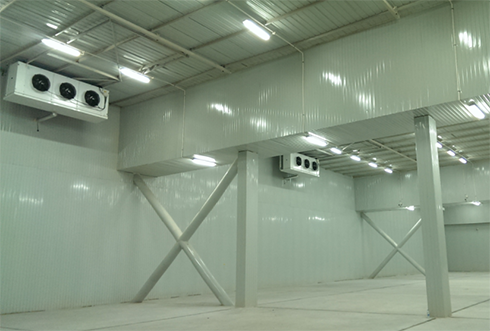 速凍冷庫設(shè)計(jì)注意事項(xiàng)及其具備功能有哪些？