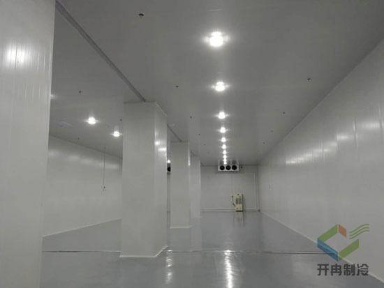  醫(yī)藥專業(yè)冷庫建設標準