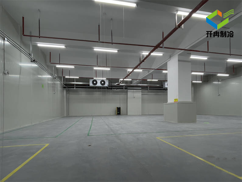 在農(nóng)貿(mào)果園建造一個水果氣調保鮮冷庫怎么樣