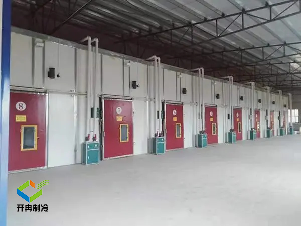 在農(nóng)貿(mào)果園建造一個水果氣調保鮮冷庫怎么樣