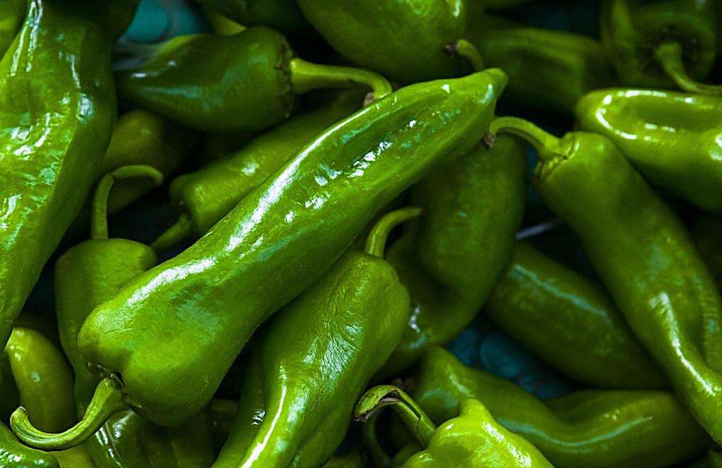 果蔬辣椒保鮮冷庫安裝，上海青椒保鮮冷庫造價