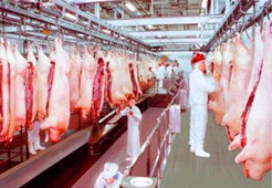 天貓超市電商冷庫建造、運(yùn)營