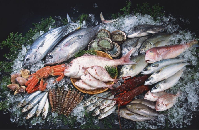 零下低溫凍魚冷庫工程設(shè)計，凍魚冷庫安裝管理