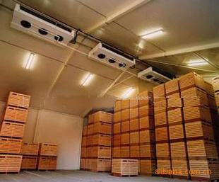 果蔬冷庫(kù)香蕉保鮮冷庫(kù)工程建造、香蕉保鮮技術(shù)