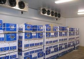 果蔬，黃桃氣調(diào)保鮮冷庫(kù)