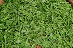 建一個低溫茶葉冷庫，冷凍庫耗電量及冷庫價格多少錢