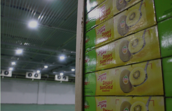 瓜果氣調(diào)保鮮庫，保鮮庫安裝造價