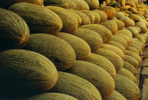 建一座哈密瓜保鮮庫需要多少投資？冷庫設(shè)備費(fèi)用