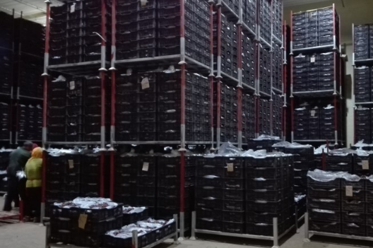 安裝一個(gè)葡萄冷庫價(jià)格多少錢，葡萄冷藏庫存儲多久