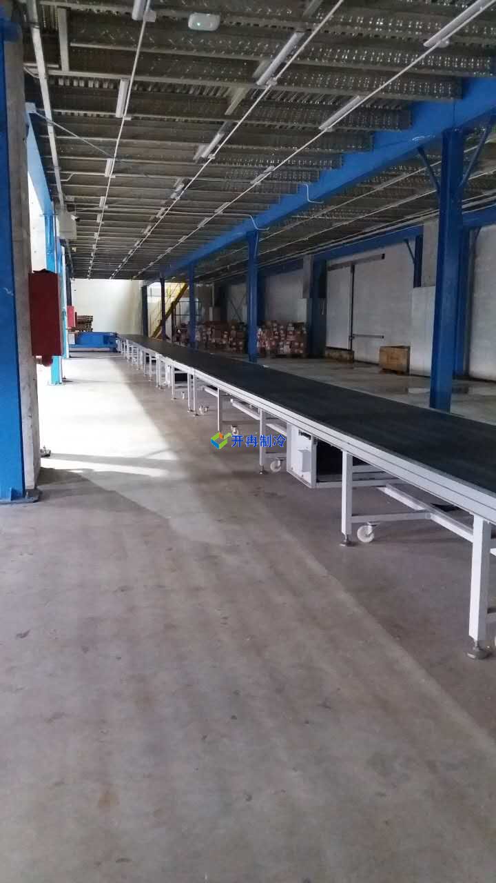 冷凍肉類冷庫設(shè)計(jì)方案報(bào)價(jià)，一套凍肉低溫庫多少錢