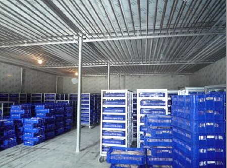 -18~-23℃冷凍庫(kù)哪種制冷方式好？（冷風(fēng)機(jī)，鋁排）