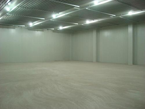 西蘭花冷庫存儲多久，100噸西蘭花冷庫建造多少錢