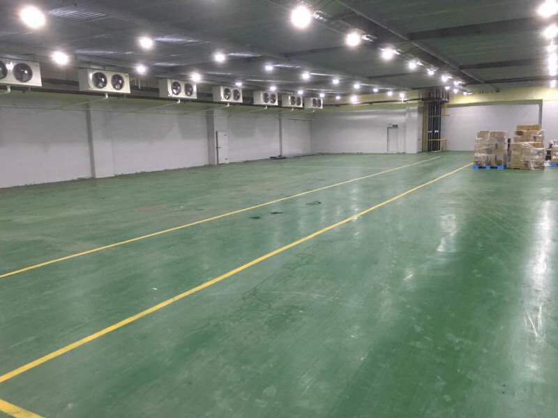 800平蘋(píng)果冷庫(kù)設(shè)計(jì)，水果冷藏庫(kù)安裝