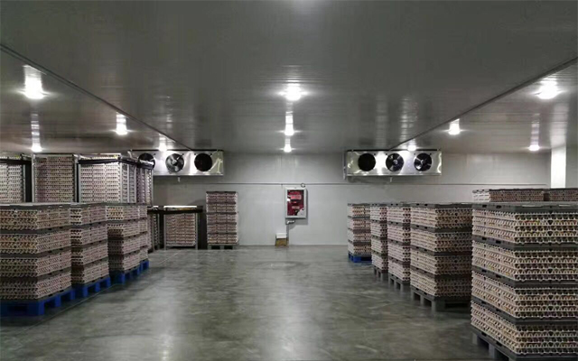 1000噸0-5℃蘋果冷藏庫多少錢，2-4℃冷藏庫建設(shè)