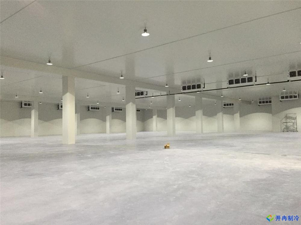 浙江建-60℃金槍魚超低溫冷庫，冷庫總價(jià)預(yù)算多少