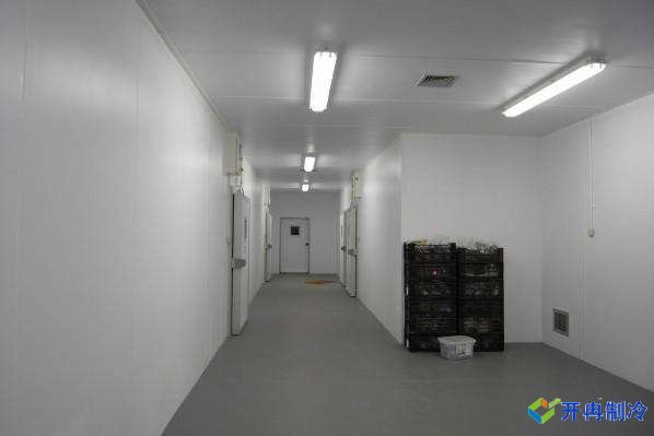 500平米雞肉雙溫冷凍庫(kù)，冷庫(kù)安裝造價(jià)多少